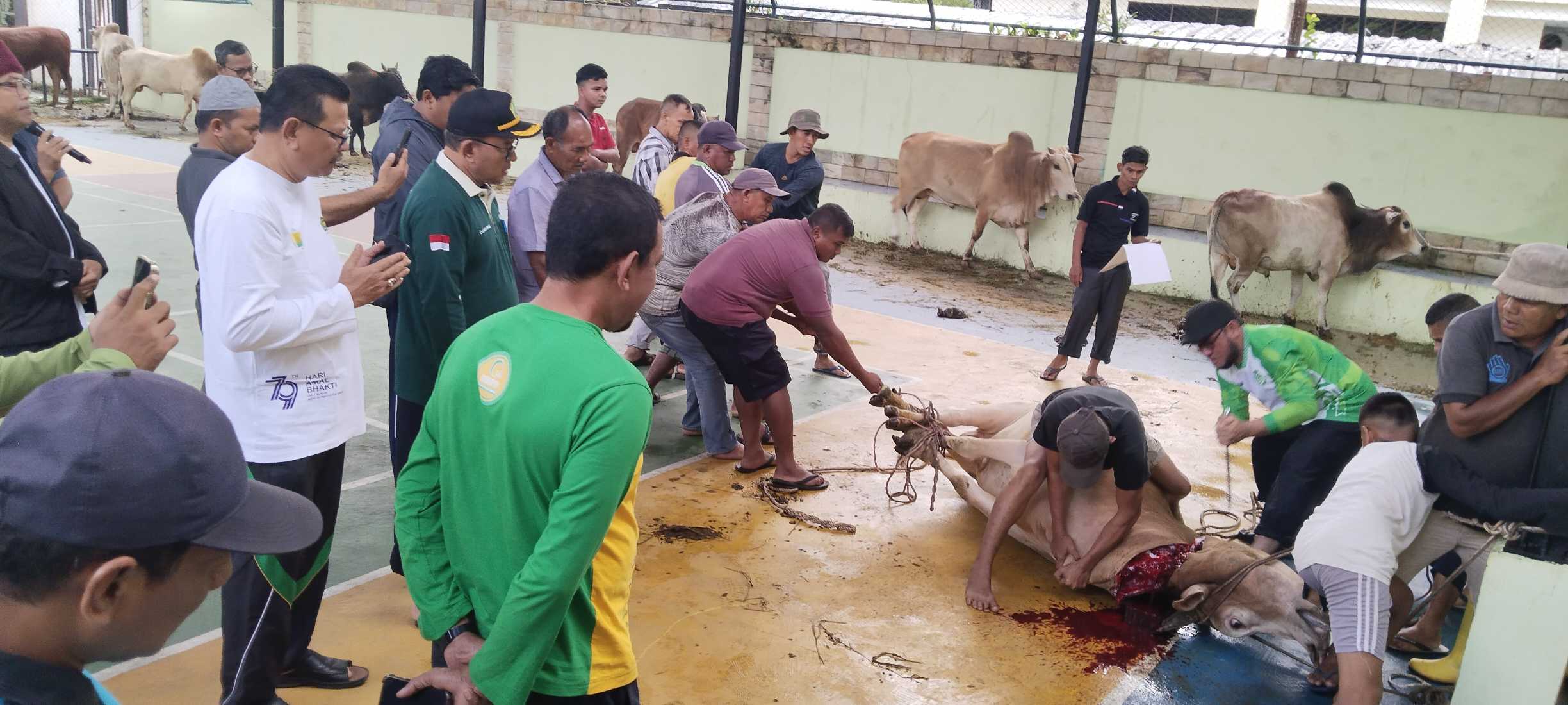Kanwil Kemenag Aceh Sembelih 10 Ekor Sapi. (Foto: Kemenag Aceh)