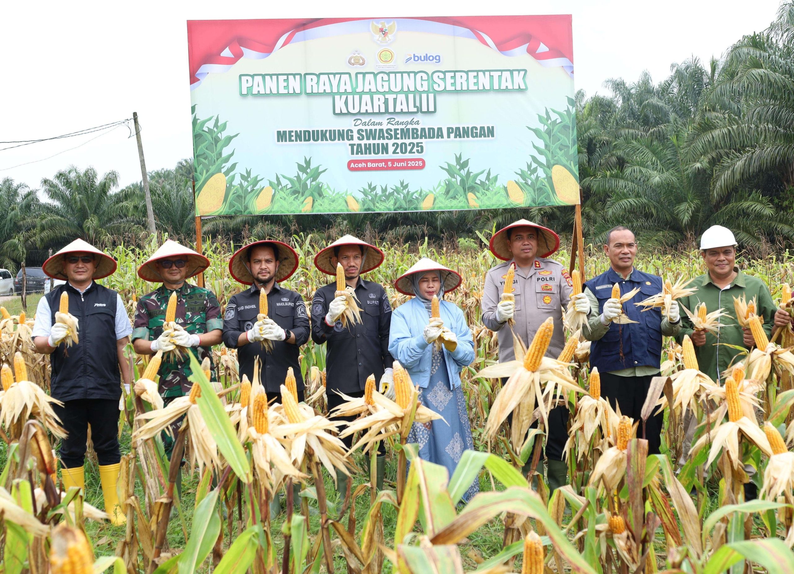 Polres Aceh Barat Ikut Panen Raya Jagung Nasional. (Foto: RRI)