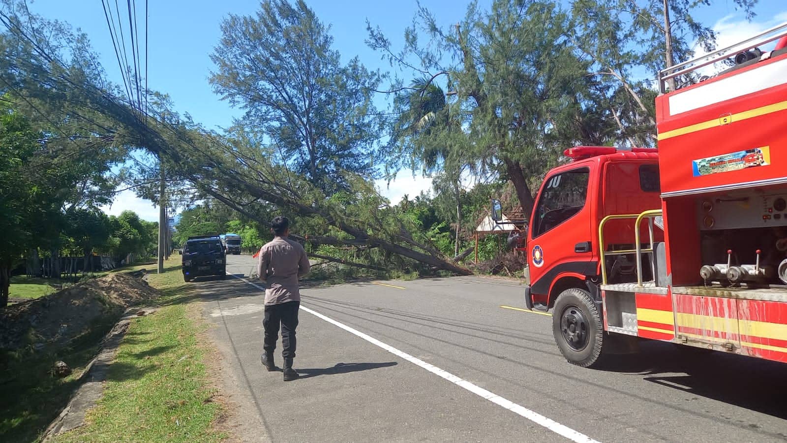 Pohon tumbang akibat angin kencang di Jalan Laksamana Malahayati, Kabupaten Aceh Besar, pada Sabtu pagi (19/7/2025). (Foto: Dok BPBD Aceh Besar)