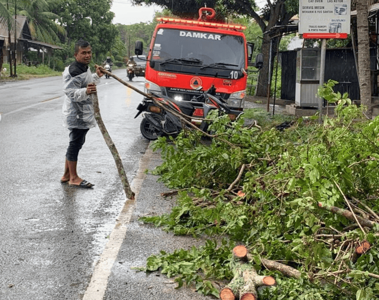 pohon tumbang dan menimpa atap sebuah ruko di Gampong Niron, Kecamatan Suka Makmur, Kabupaten Aceh Besar, Minggu (20/7/2025). (Foto: Dok BPBD Aceh Besar)