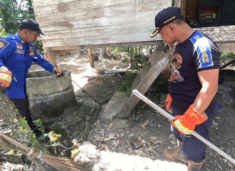 seekor ular jenis king cobra sepanjang sekitar tiga meter dievakuasi di Desa Weusiteh, Kecamatan Suka Makmur, Sabtu (19/7/2025). (Foto: Dok BPBD Aceh Besar)
