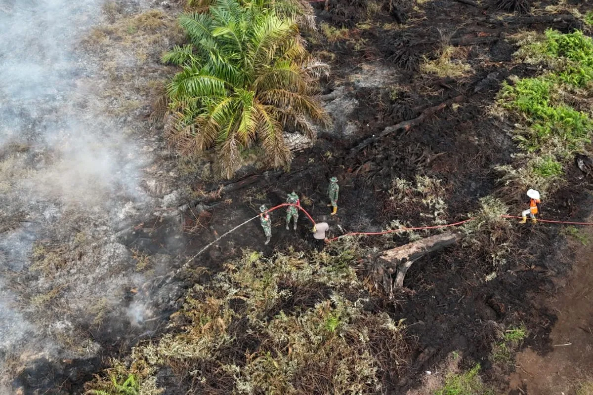Karhutla di Aceh Selatan Meluas Capai 65 Hektare. (Foto: BPBA)