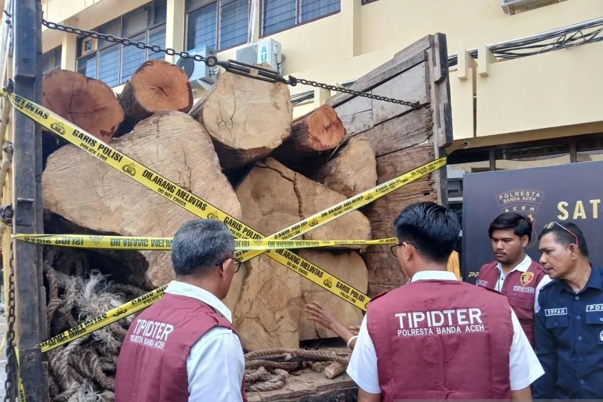 Polisi Gagalkan Penjualan Kayu Ilegal Diduga dari Hutan Lindung di Aceh Besar. (Foto: ANTARA)