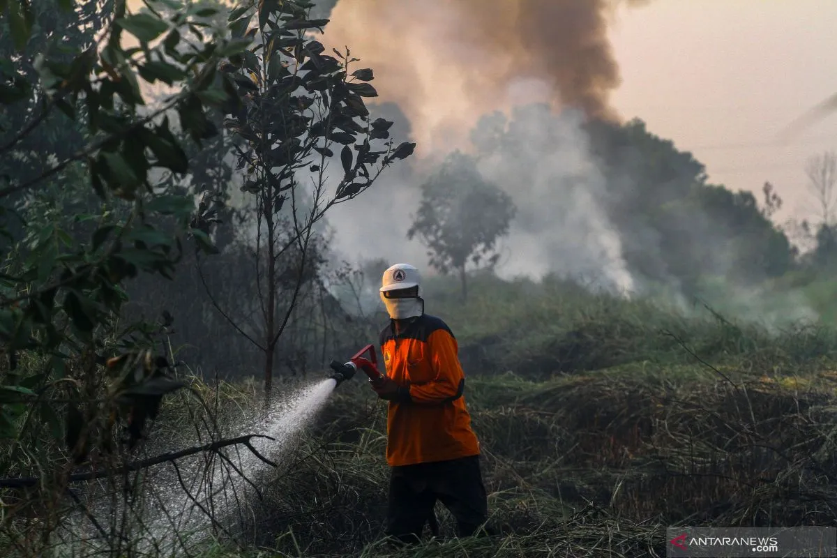 Ilustrasi karhutla. (Foto: Antara)