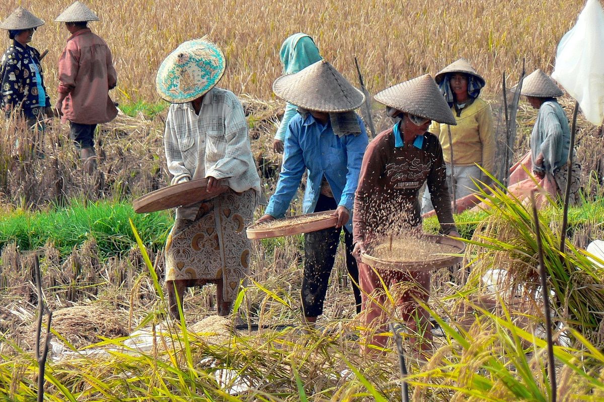 Ilustrasi petani. (Foto: Pixabay)