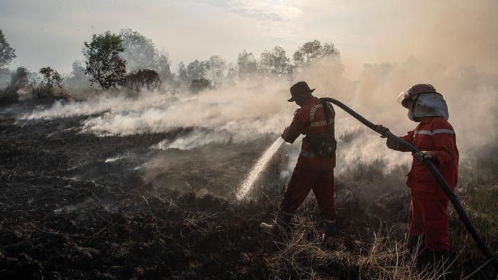 Ilustrasi karhutla. (Foto: Antara)