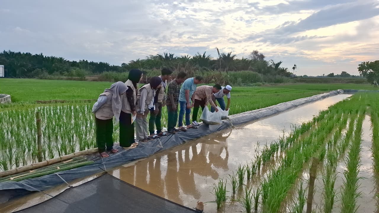 Smart Minapadi BEM Unimal Dapat Suntikan 1.200 Bibit Ikan dari Bupati Aceh Utara. (Foto: Humas UNIMAL)