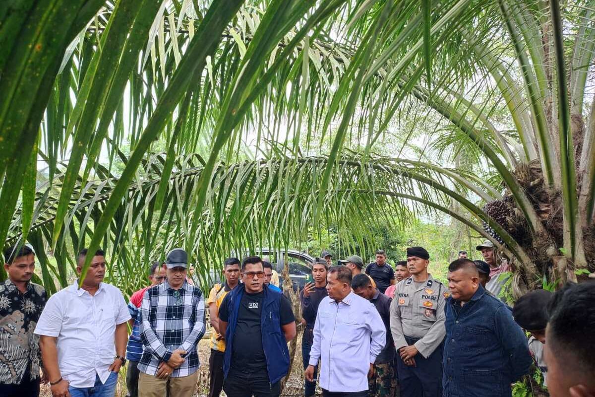 Panitia Khusus (Pansus) Hak Guna Usaha (HGU) DPRD Kabupaten Aceh Utara di area perkebunan sawit PT Satya Agung di Kecamatan Geureudong Pase, Kabupaten Aceh Utara, Selasa (23/9/2025). (Foto: DPRD ACEH UTARA)
