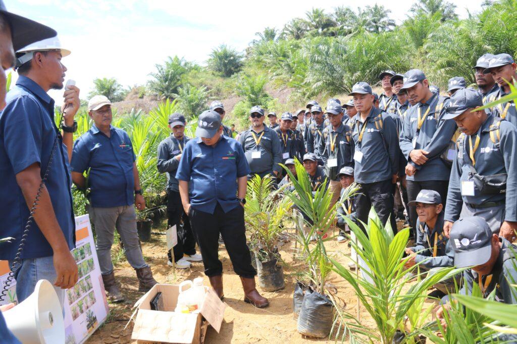IPB Training berkolaborasi dengan Direktorat Jenderal Perkebunan (Ditjenbun) dan Badan Pengelola Dana Perkebunan Kelapa Sawit (BPDPKS) menggelar pelatihan teknis budidaya sawit yang berlangsung di Banda Aceh, 8–12 September 2025. (Foto: Majalah Sawit Indonesia)