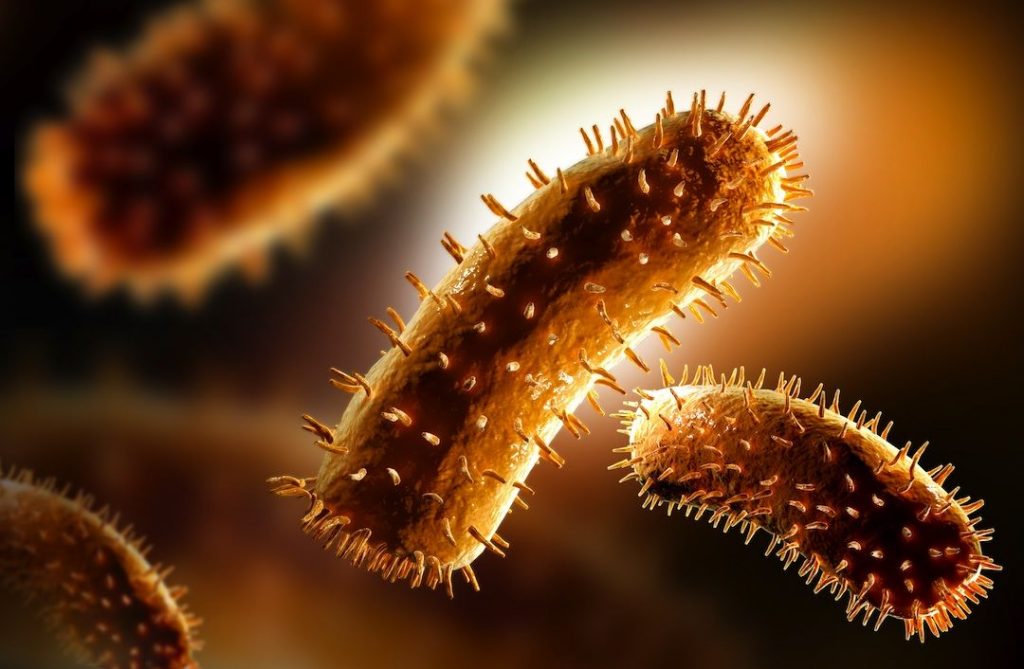 Ilustrasi Virus Rabies. (Foto: Unair)