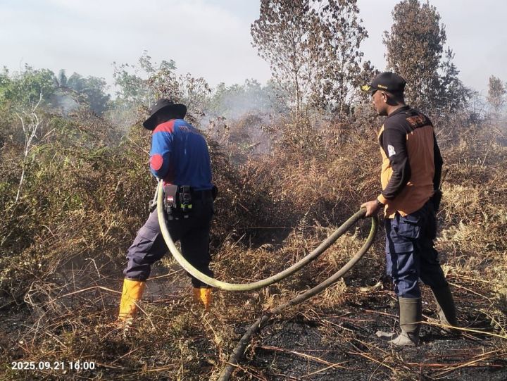 Kebakaran Landa Tiga Kecamatan di Aceh Barat, 8,8 Hektare Lahan Hangus. (Foto: BPBA)