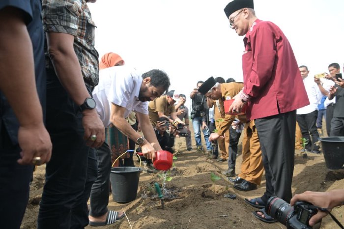 Mualem meninjau langsung kebun cabai di Kampung Pondok Balik, Kecamatan Ketol, Aceh Tengah pada Selasa (9/9/2025). (Foto: HUMAS ACEH)