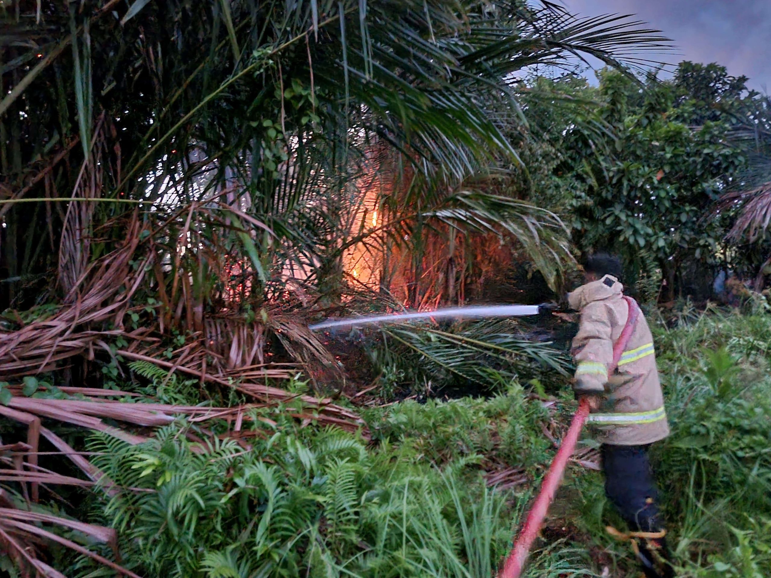 Petugas Damkar BPBD Aceh Besar melakukan pemadaman dan pendinginan terhadap lahan yang terbakar, di Aceh Besar, beberapa waktu lalu. (FOTO: MC ACEH BESAR)
