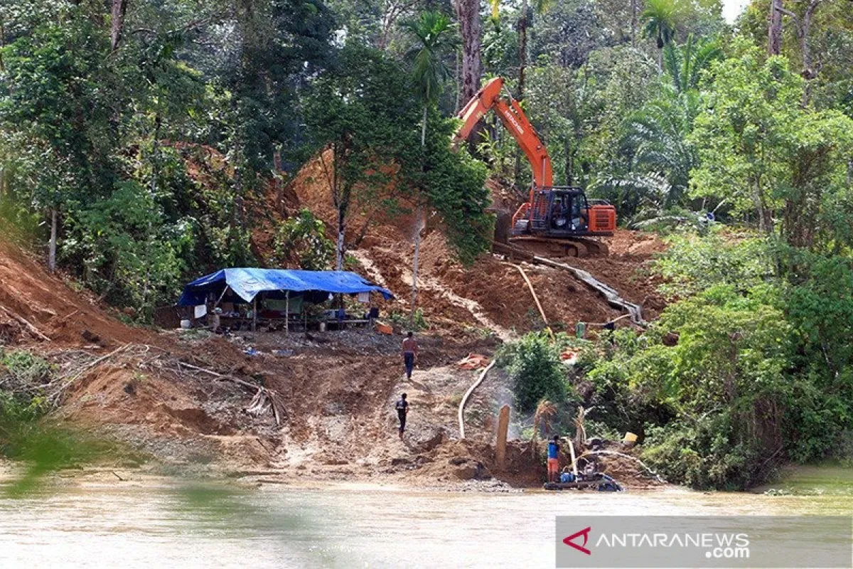 Ilustrasi tambang emas ilegal. (Foto: Antara)