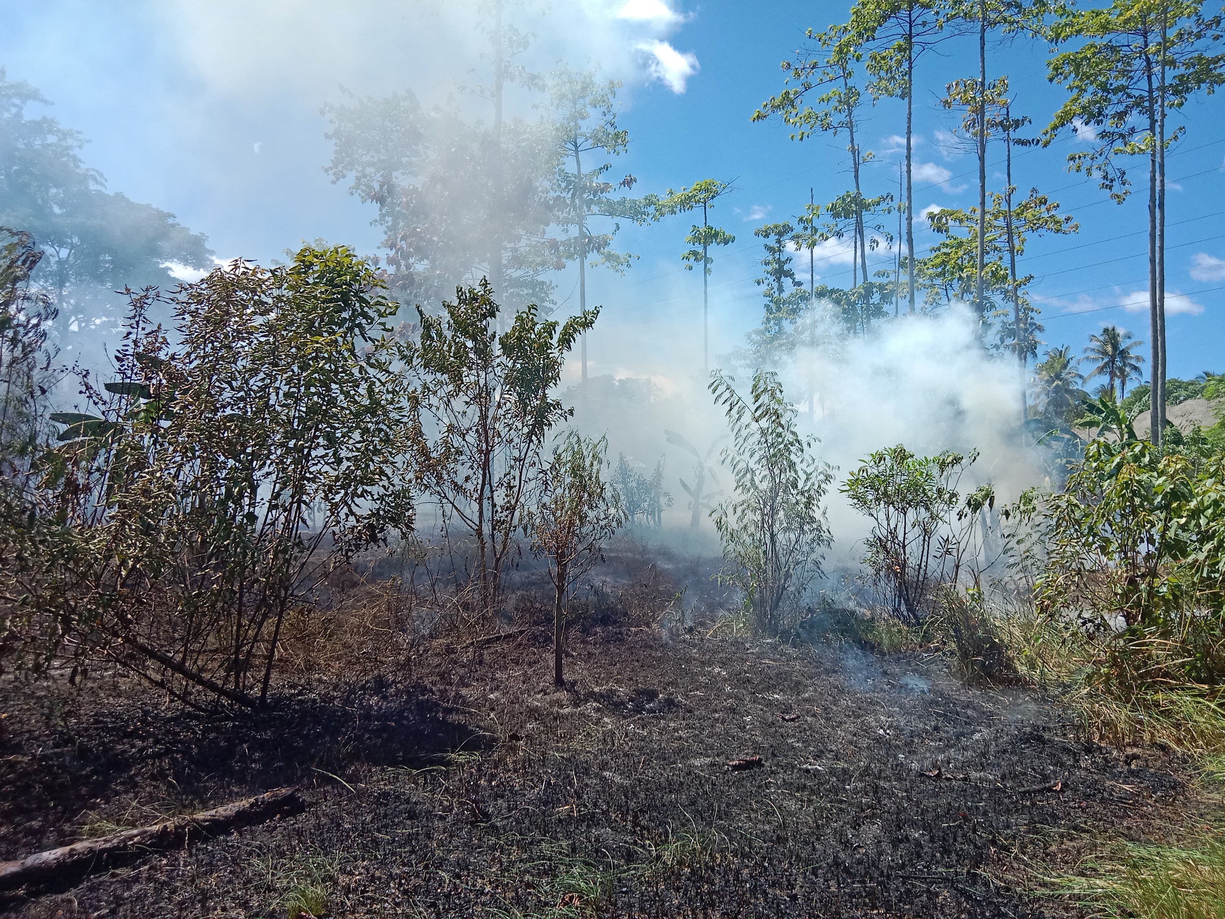 Dua Lahan Terbakar di Aceh Besar