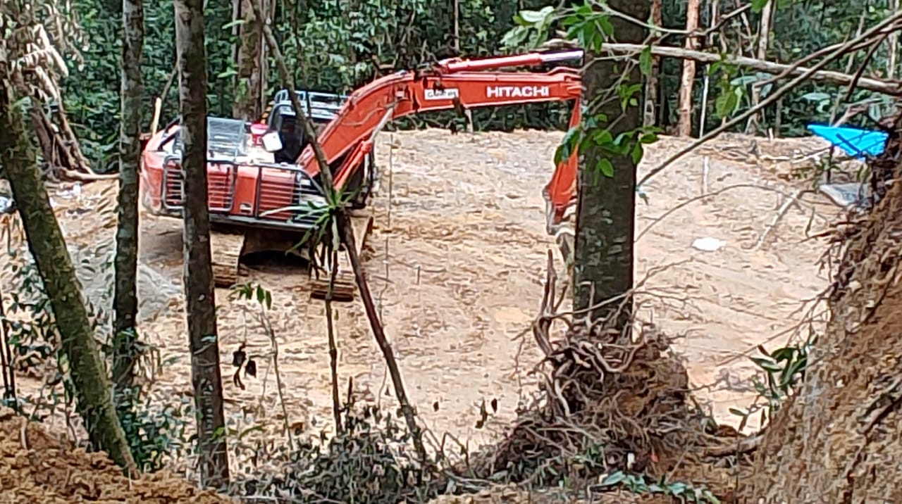 Eskavator PT GMR Terus Menggerus Hutan Lindung Bukit Tengkereng. (Foto: Beritamerdeka.net)