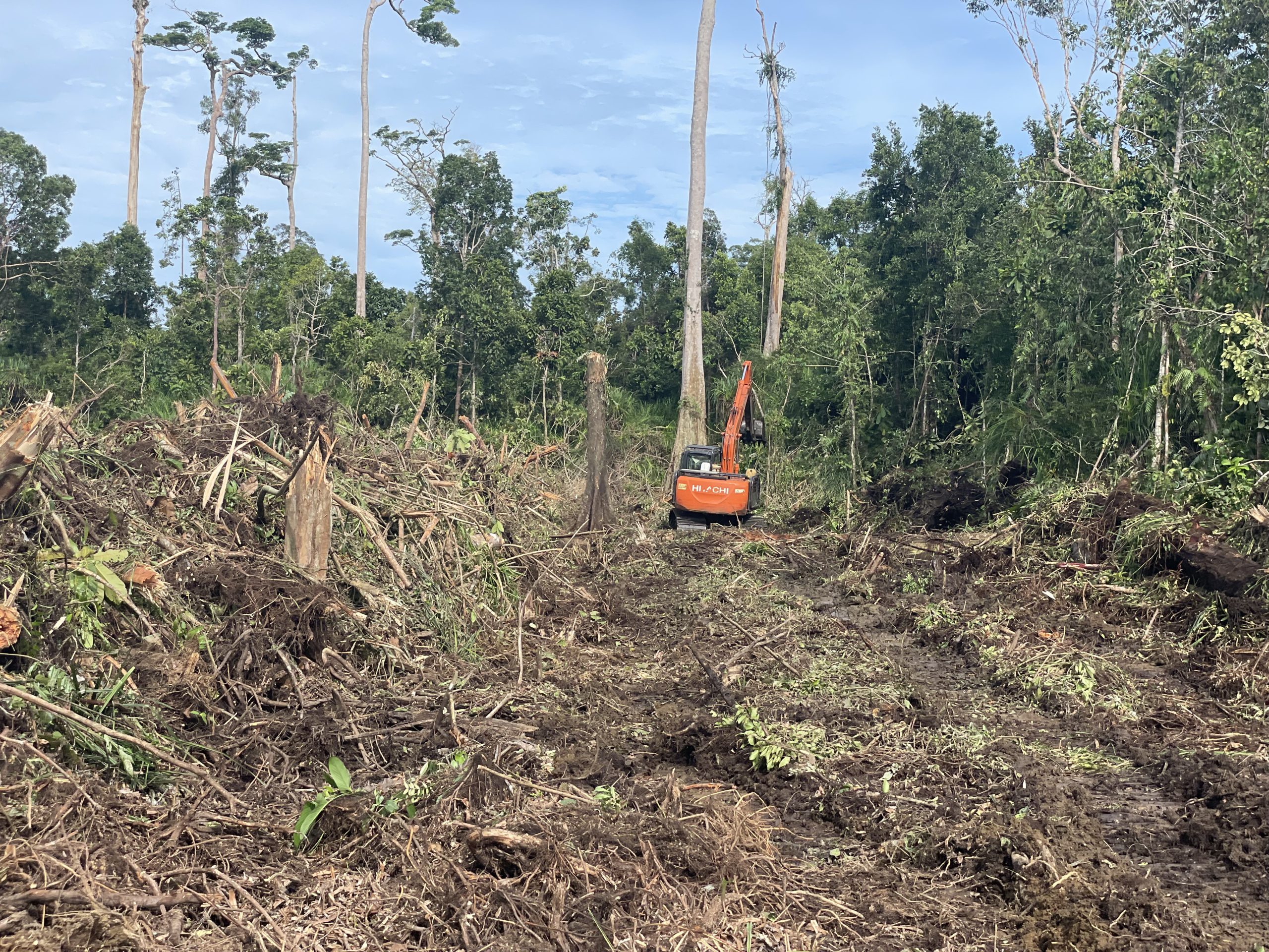 Pembukaan lahan dengan Excavator. (Foto: Dok. Apel Green Aceh)