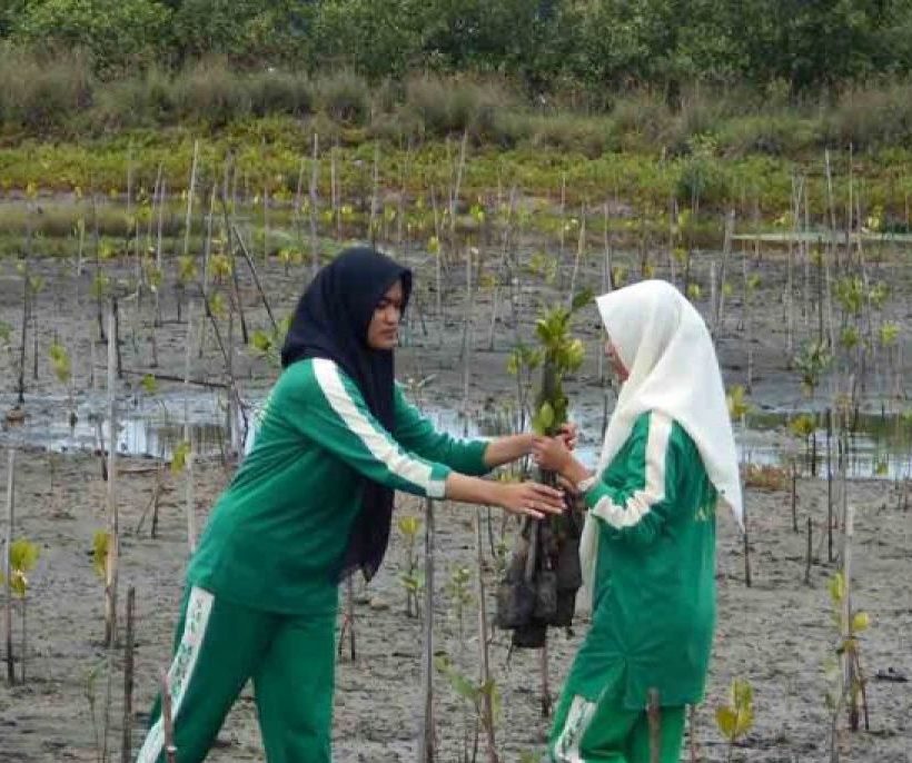 Pelajar mengangkat bibit mangrove untuk ditanam di Mangrove Park Lampulo, Banda Aceh, Sabtu (25/10/2025). (Foto: ANTARA/M Haris SA)