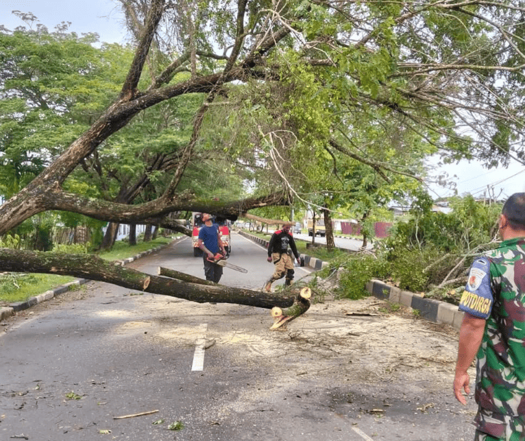 Sejumlah pohon tumbang di beberapa titik kecamatan di Aceh Besar. (Foto: akun Instagram @damkaracehbesar)