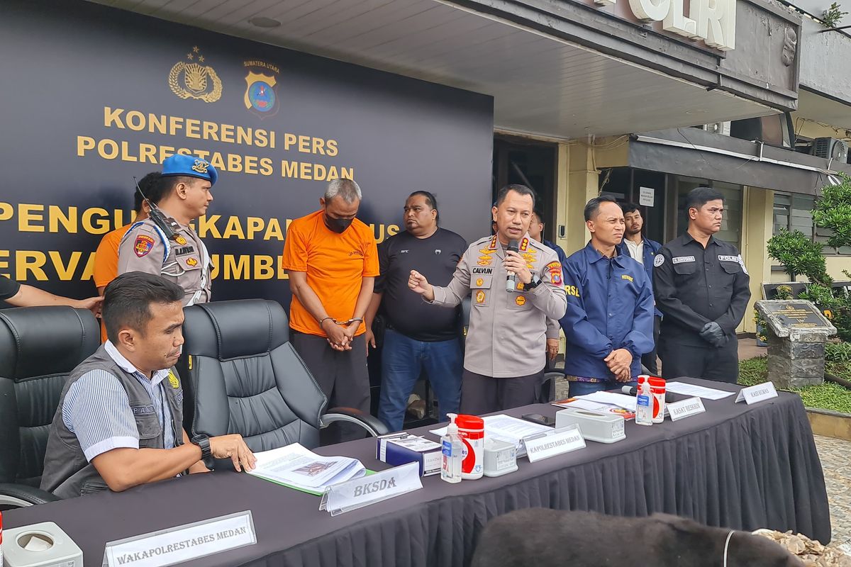 ASM (49) dihadirkan saat polisi menggelar konferensi pers di Polrestabes Medan pada Jumat (14/11/2025). Dia terlibat kasus jual beli satwa dilindungi dengan barang bukti beruang madu yang sudah diawetkan.(FOTO: KOMPAS.com/GOKLAS WISELY )