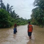 Banjir Rendam Tiga Kecamatan di Aceh Selatan, Aktivitas Warga Terganggu