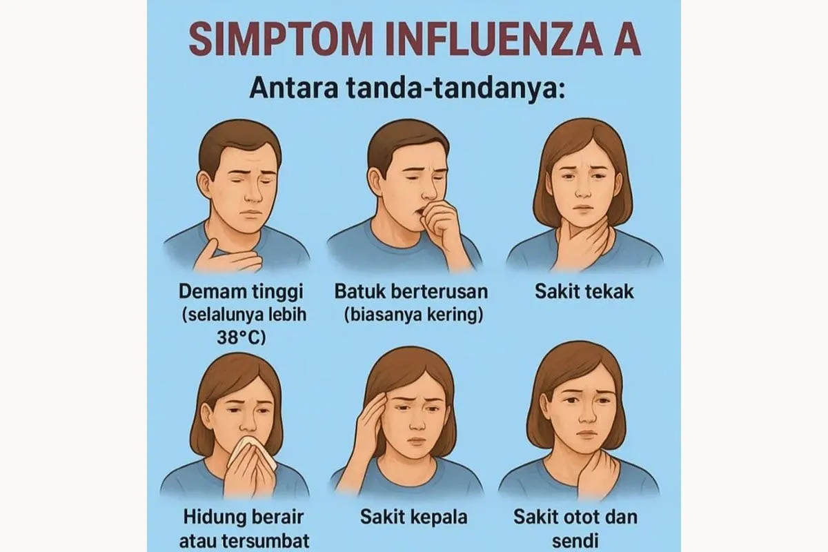 Ilustrasi Gejala Influenza Tipe A. (Foto: Google)
