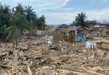 Pemerintah Aceh Larang Pengambilan Kayu Banjir Bandang, Ada Apa?