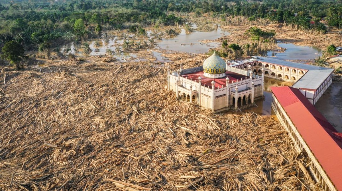 Tumpukan gelondongan kayu pasca bajir di Aceh Tamiang. (Foto: CNN INDONESIA)