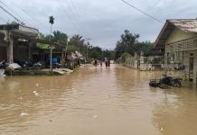 Aceh Timur–Aceh Utara Kembali Dilanda Banjir, Ratusan Warga Terpaksa Mengungsi