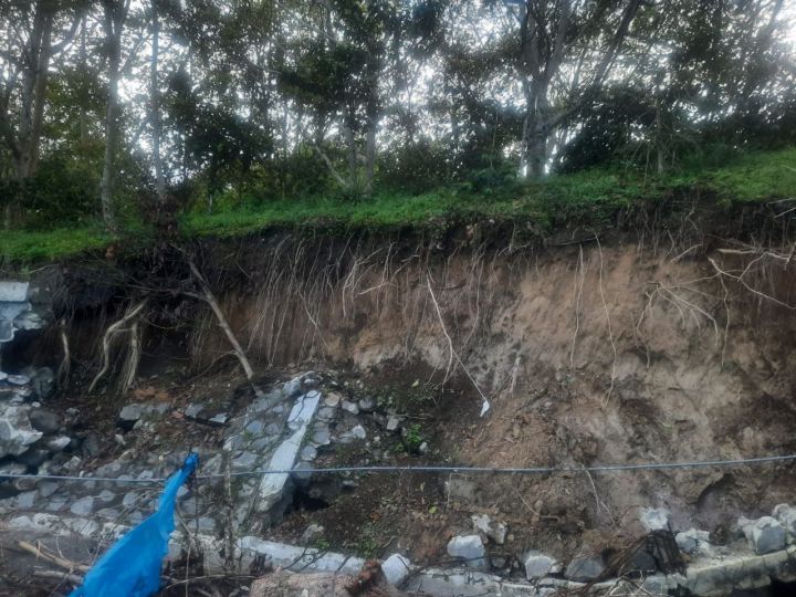 Kebun kopi di Aceh Tengah rusak akibat bencana banjir dan longsor. (Foto: Istimewa)