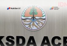 BKSDA Aceh Tinjau Ulang Mitigasi Konflik Setelah Warga Meninggal Akibat Serangan Gajah