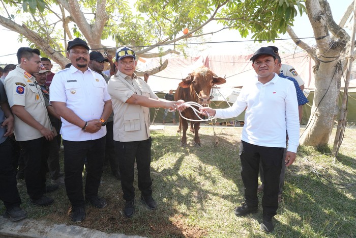 Mendagri Serahkan Ribuan Sapi Bantuan Presiden Prabowo untuk Warga Terdampak Bencana di Aceh. (Foto: Kemendagri)