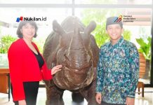 Indonesia dan Inggris Perkuat Kolaborasi Kehutanan, Proyek Konservasi Gajah di Aceh Jadi Fokus Utama