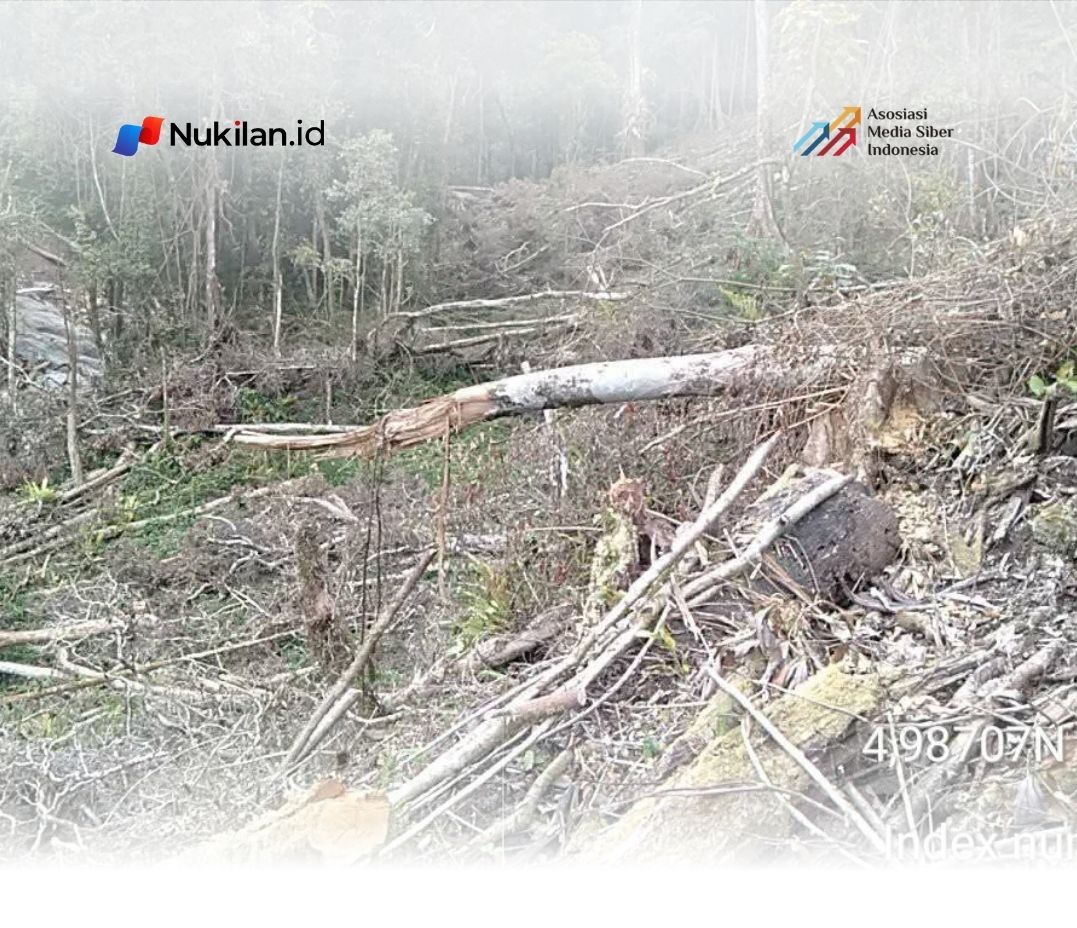 Kawasan hutan lindung kembali di rambah (Foto: dok ist)