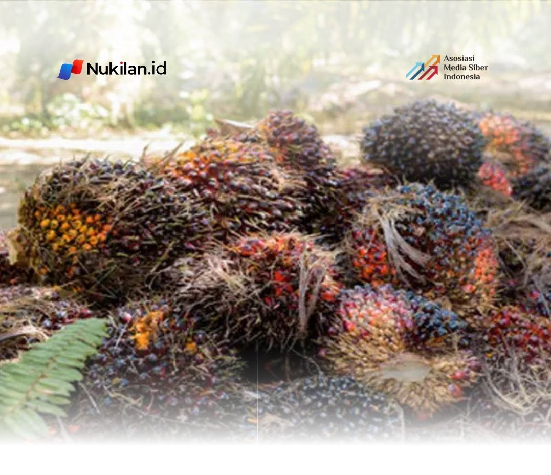 Ilustrasi sawit. (Foto: indonesianpalmoilnews.com)