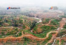 Komisi Informasi Aceh Nyatakan Data HGU Terbuka untuk Publik, BPN Diminta Lebih Transparan