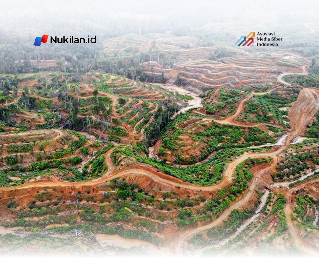 Pembukaan lahan ilegal untuk perkebunan sawit telah merusak hutan dan lingkungan masyarakat di Kecamatan Sultan Daulat, Kota Subulussalam, Aceh. (Foto drone: Junaidi Hanafiah/Mongabay Indonesia)