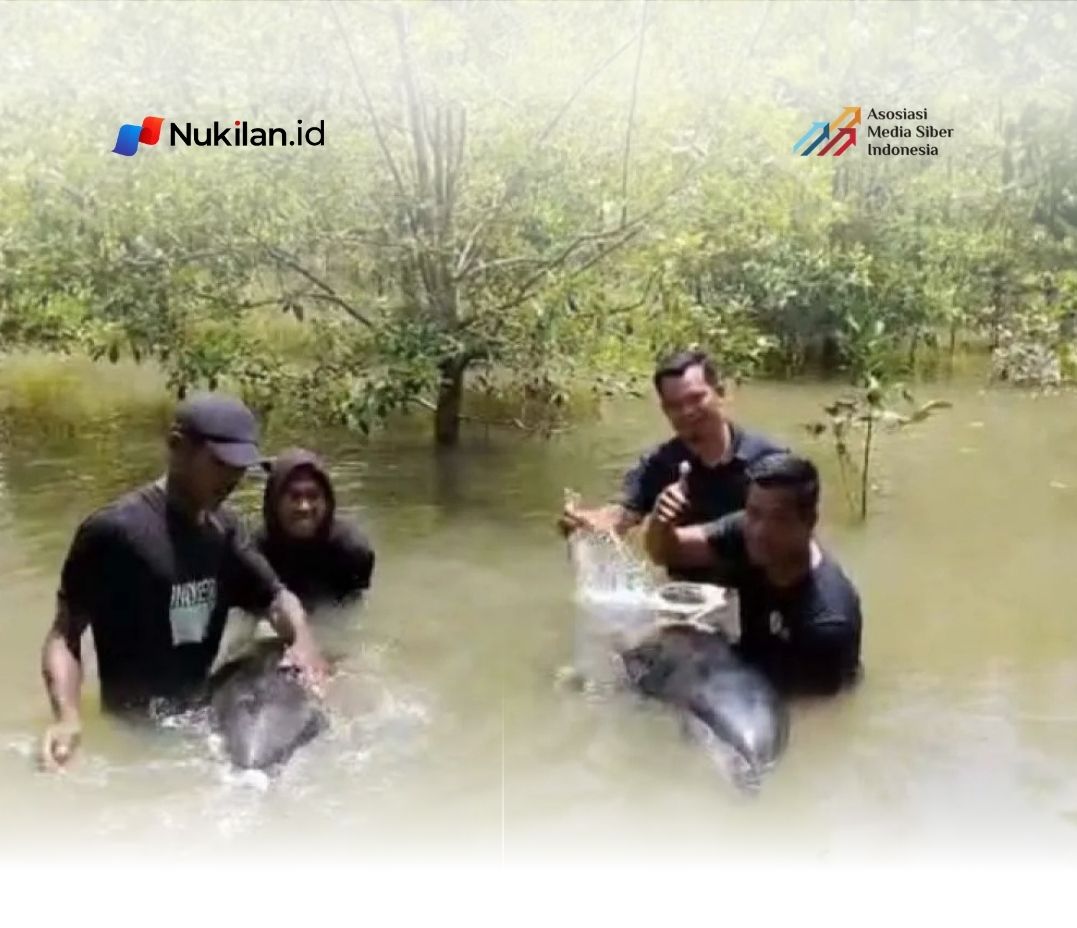 Warga mengevakuasi dua ekor lumba-lumba yang terdampar di kawasan tambak warga Desa Kuala Pusong Kapal, Kecamatan Seruway, Aceh Tamiang, Jumat (6/3/2026). (FOTO: Dok Warga)