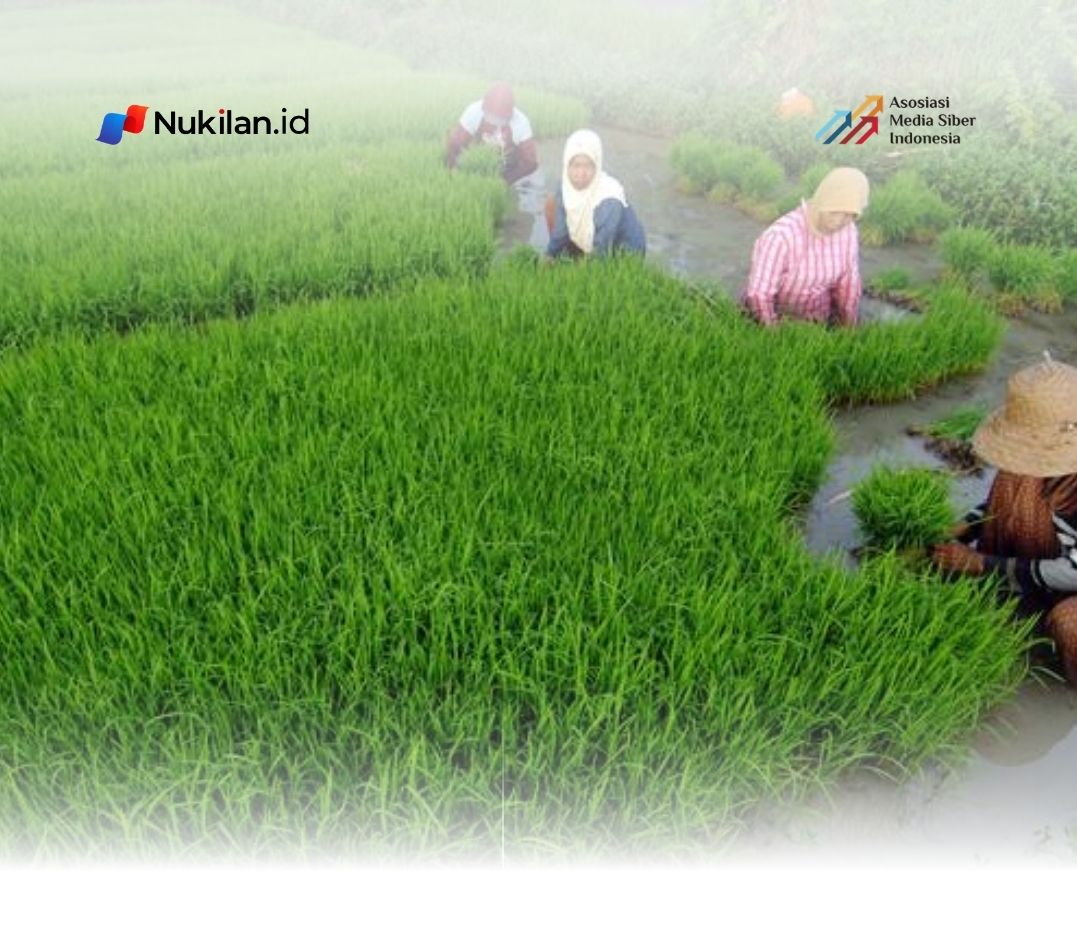 Proses pembibitan padi. (Foto: Bisnis.com)