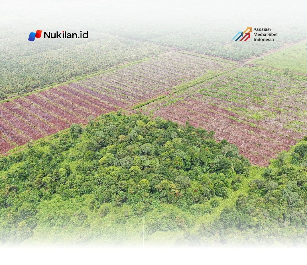 Lahan Gambut Rawa Tripa. (Foto: Dok. Yayasan Apel Green Aceh)
