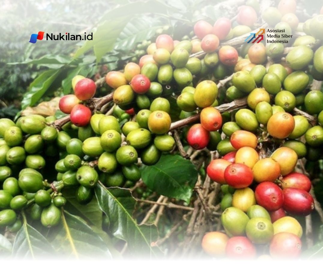 Ilustrasi 7 jenis kopi gayo dengan kualitas terbaik. (Foto: fadhilasqar/pixabay.com)