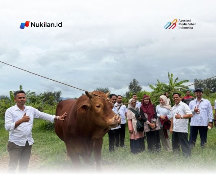sapi
