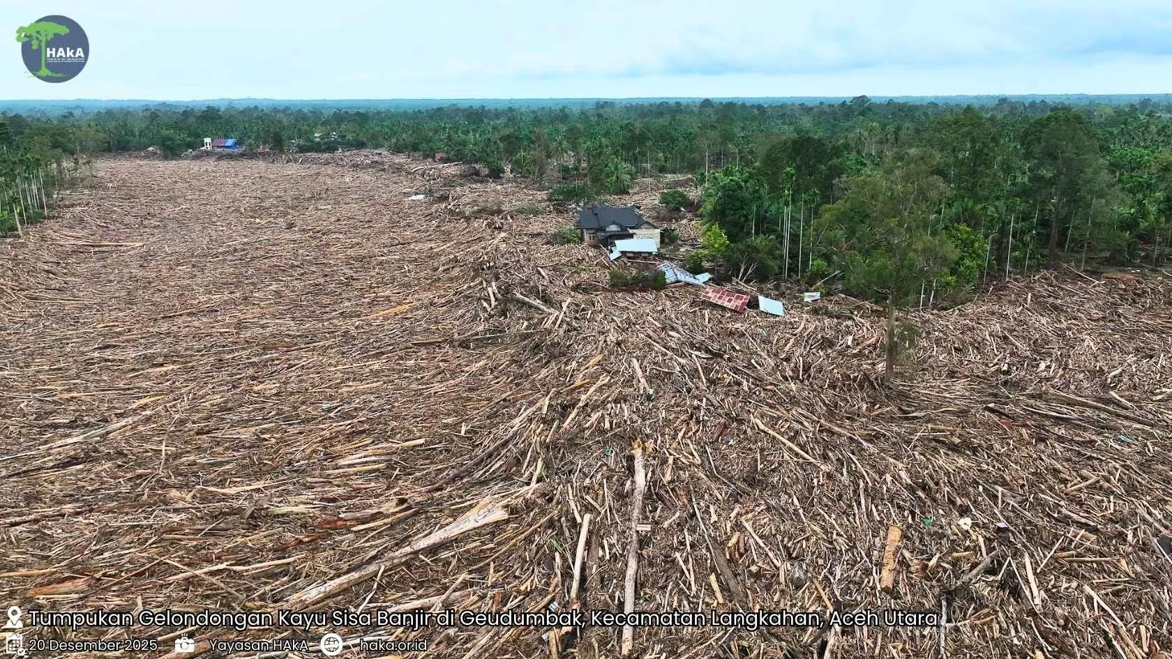 Tumpukan kayu gelondongan sisa banjir di Desa Geudumbak, Kecamatan Langkahan, Aceh Utara pascabencana banjir dan tanah longsor beberapa waktu lalu. (Foto: HAkA)