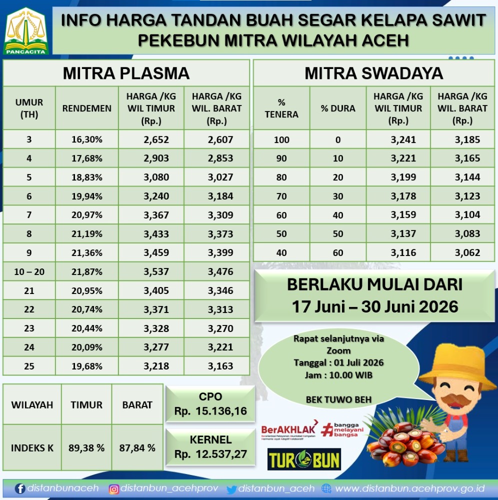 Distanbun Aceh Tetapkan Harga Acuan TBS Kelapa Sawit, Jadi Pedoman Transaksi Pekebun dan PKS. (FotoL Ist)