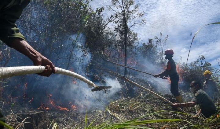 Ilustrasi titik panas. (Foto: Antara)