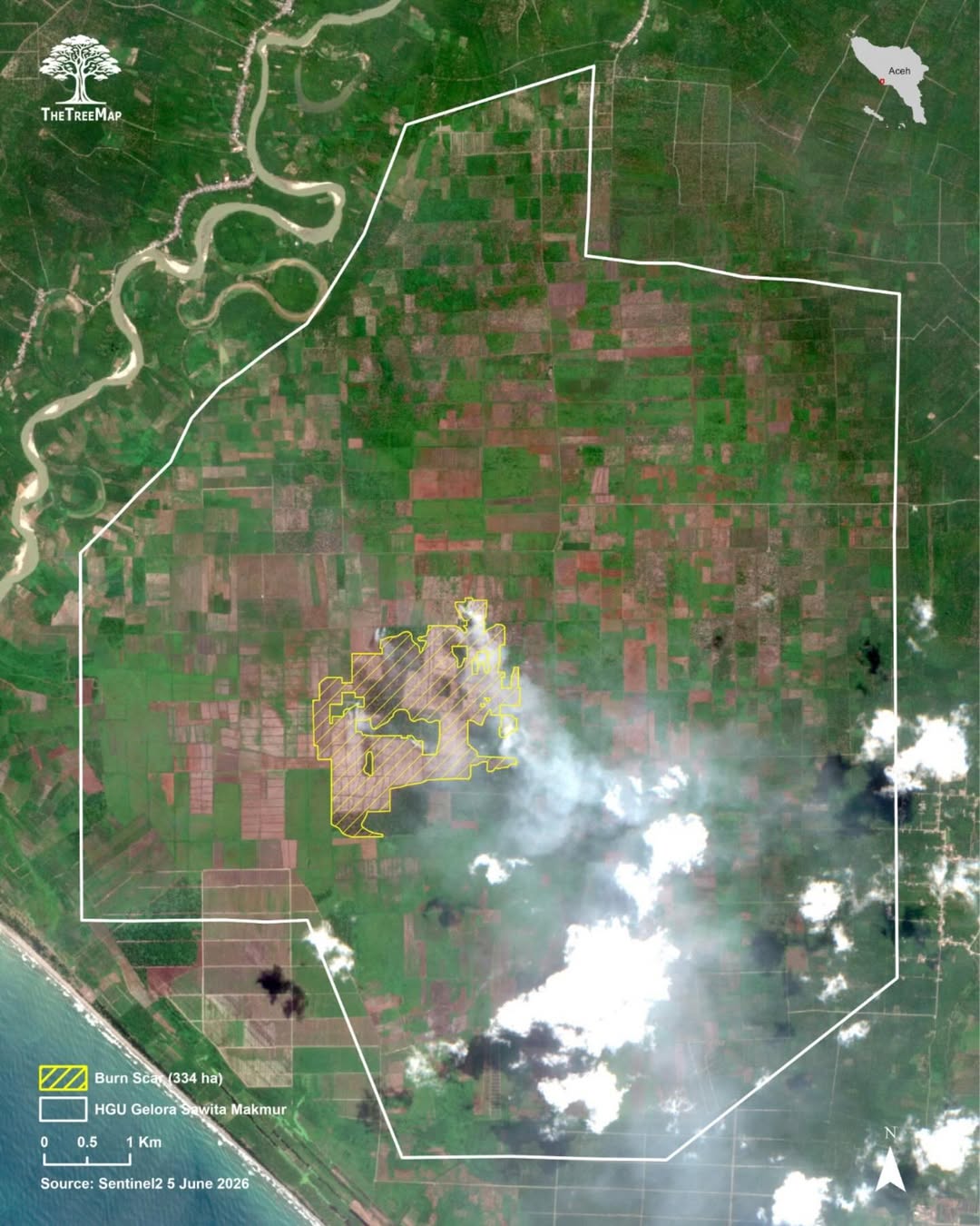 Titik panas di kawasan Rawa Tripa. (Foto: Dok APEL Green Aceh)