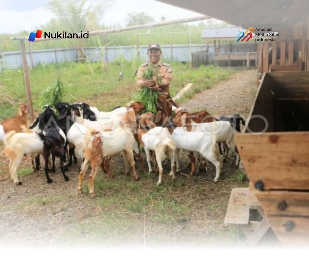 Dinas Pemberdayaan Masyarakat Gampong (DPMG) Aceh mencatat sebanyak 63 Badan Usaha Milik Desa (BUMDes) di Aceh telah masuk dalam kategori maju. (FOTO: DPMG ACEH)