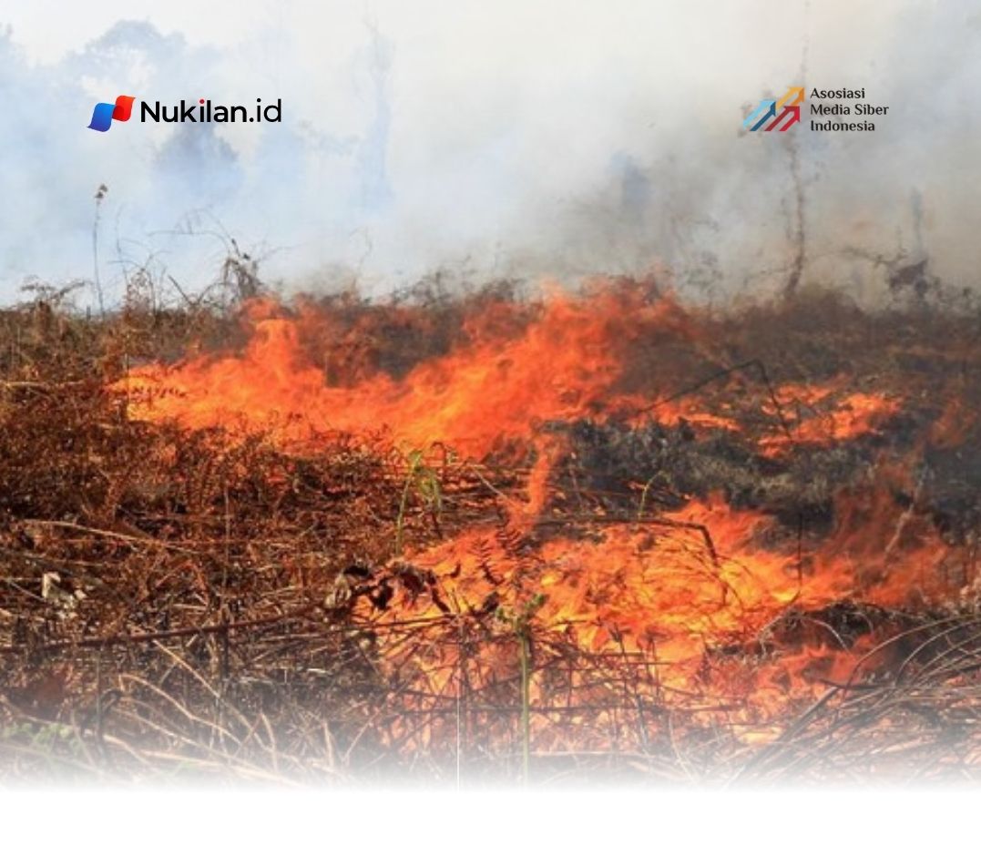 Ilustrasi Karhutla. (Foto: ANTARA)