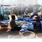 Harga Ikan di PPS Lampulo Naik akibat Angin Kencang, Tangkapan Nelayan Berkurang PPS LAMPULO