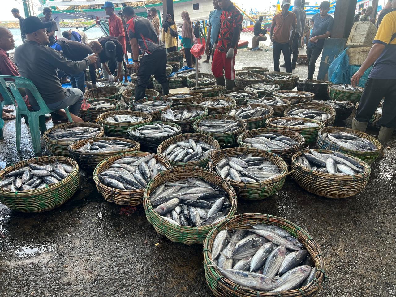 Tempat Pelelangan Ikan (TPI) Lampulo, Banda Aceh. (Foto: Nukilan/Rezi)